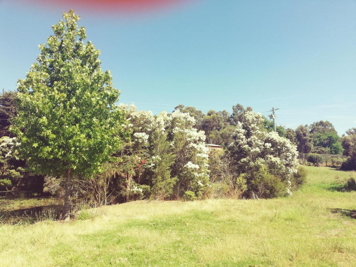 Woodlands Of Balingup Bush Cottages Exterior photo